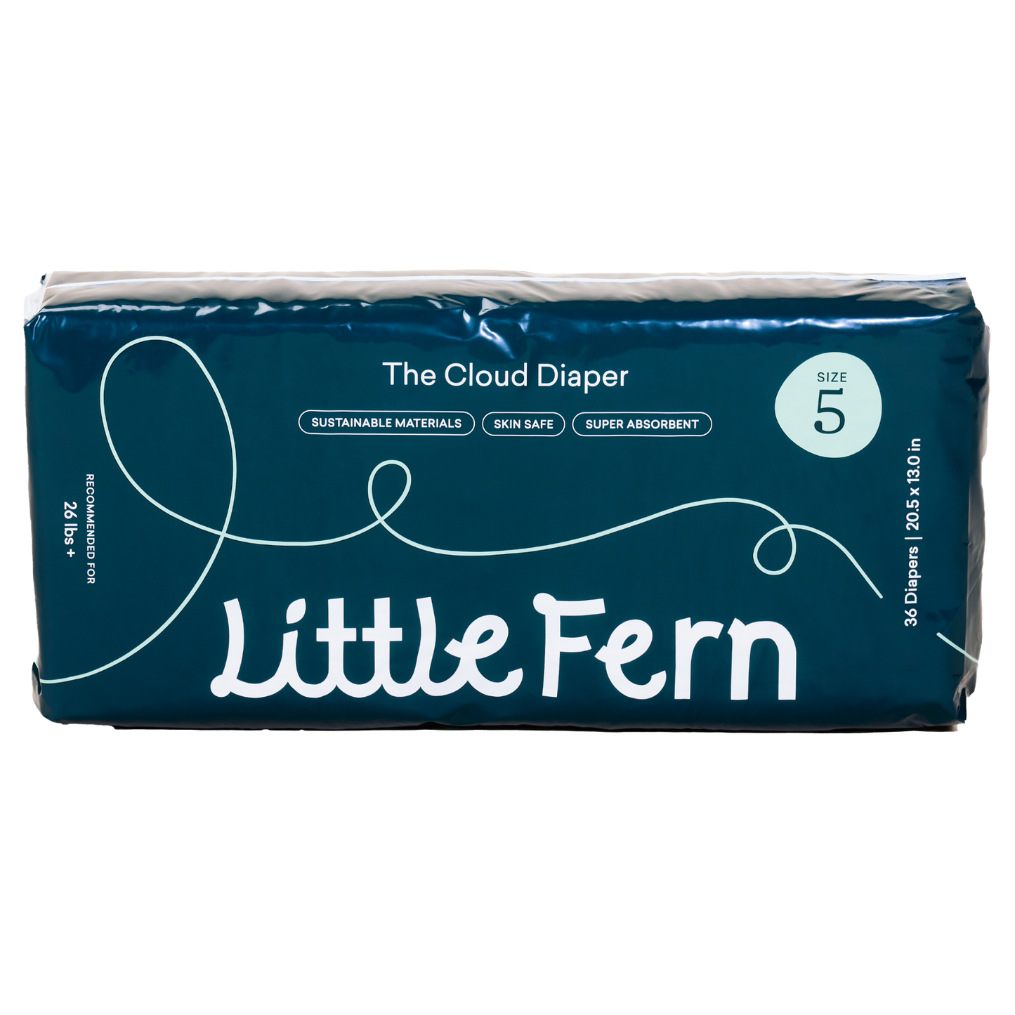 The Cloud Diaper